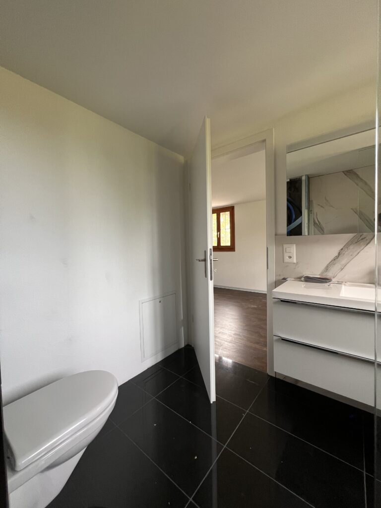Dusche und WC der 2-Zimmer-Wohnung an der Schindellegistrasse 115 in Pfäffikon SZ